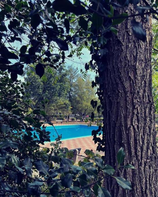 Sfeervol Chalet In Het Bos Nunspeet Ngoại thất bức ảnh